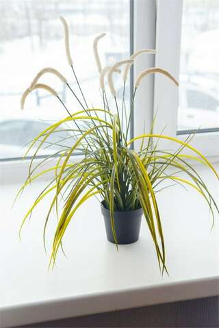 Мини-отель Три зайца Мурманск Двухместный номер с 2 отдельными кроватями и общей ванной комнатой-5